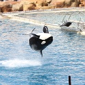 Marineland - Orgues - 010